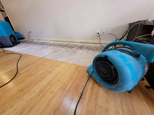 Professional Emergency Water Damage technician working in Paterson, NJ